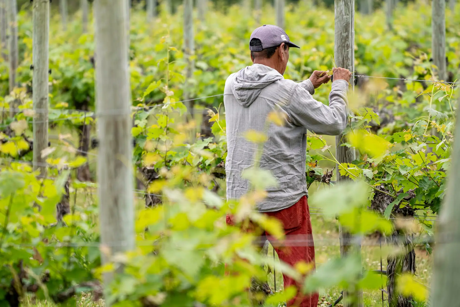 🌾 Aposentadoria Rural: Quem Tem Direito, Como Funciona e Como Solicitar em 2025